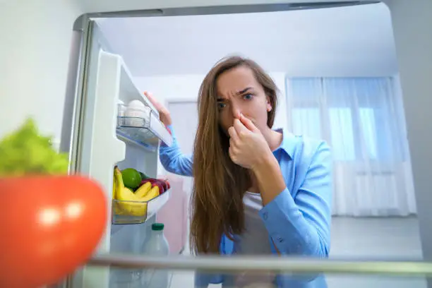 Refrigerator Bad Odor Removal